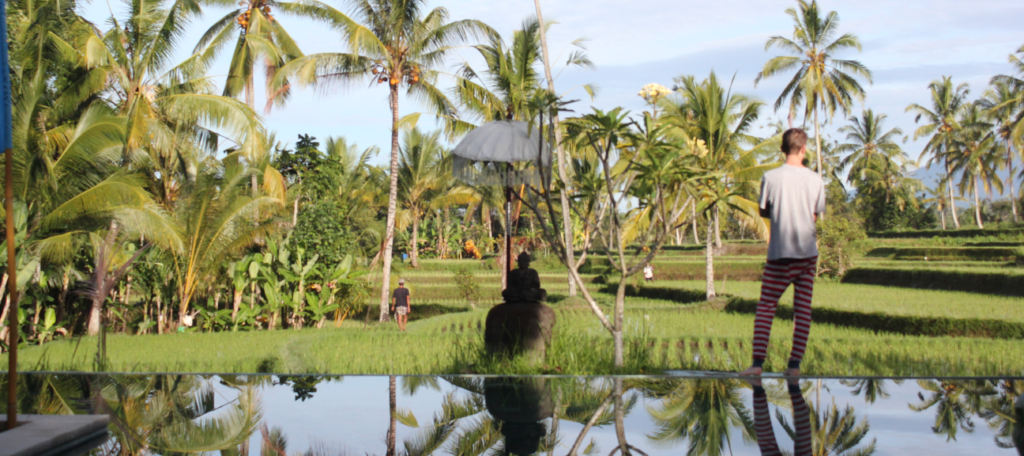 <img src=“bali.jpg" alt=“waking up in the middle of the rice fields in bali near Ubud, view from the pool”>
